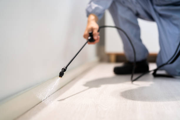 Licensed Pest Control service in White Hall, WV - Nex Pest Control