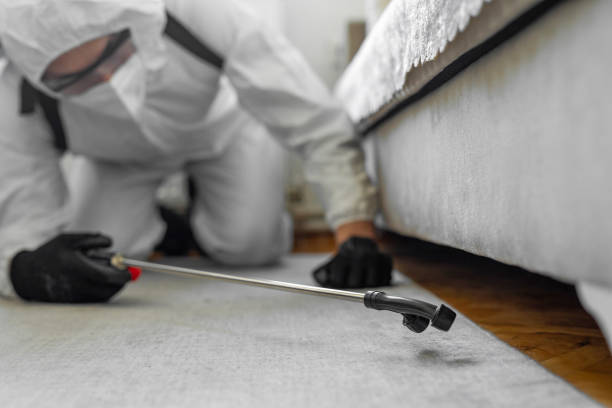 Professional Pest Control technician working in White Hall, WV