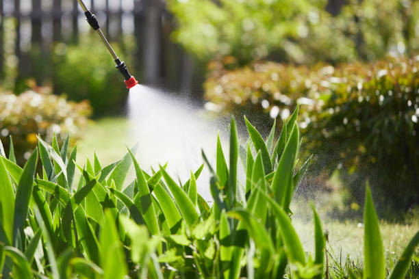 24/7 Emergency Pest Control experts in White Hall, WV