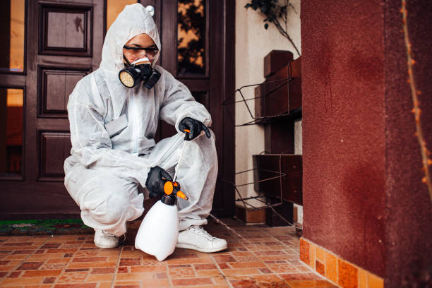Reliable Pest Control contractor in White Hall, WV by Nex Pest Control
