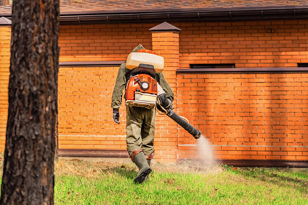 Top rated local Pest Control specialists in White Hall, WV